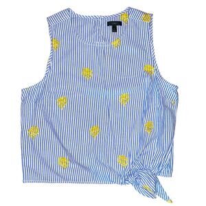 J. Crew Blue Striped Pineapple Embroidered Top size 14